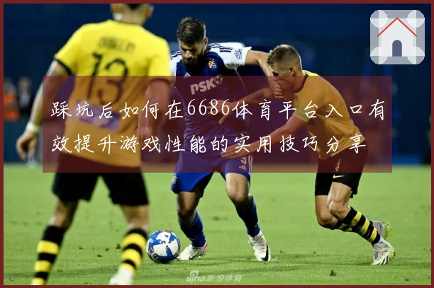 踩坑后如何在6686体育平台入口有效提升游戏性能的实用技巧分享