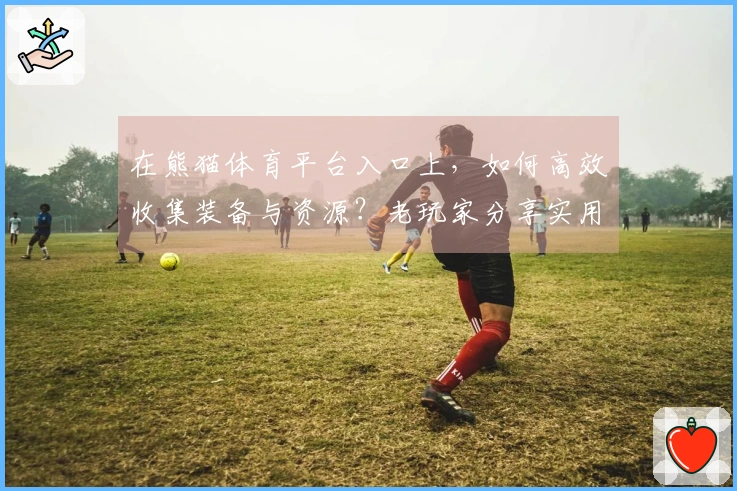 在熊猫体育平台入口上，如何高效收集装备与资源？老玩家分享实用技巧！