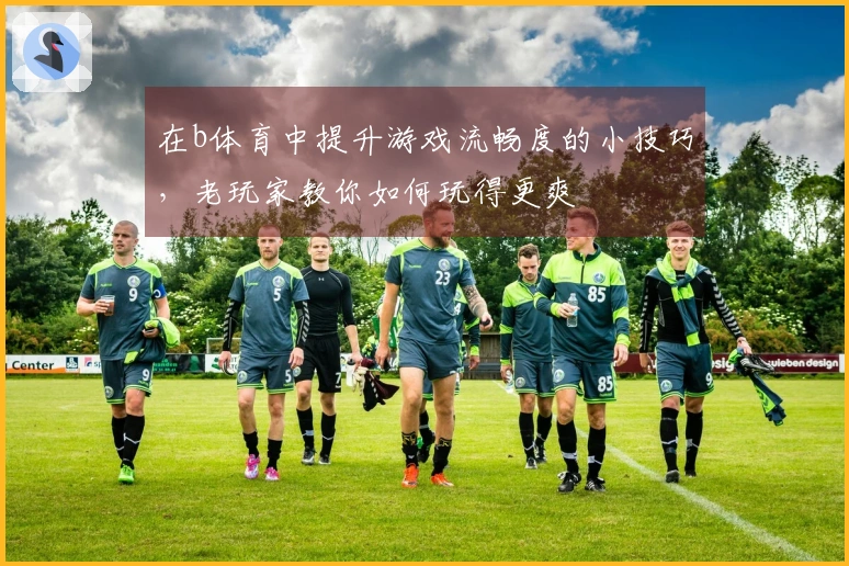 在b体育中提升游戏流畅度的小技巧,老玩家教你如何玩得更爽