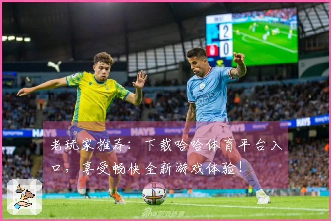 老玩家推荐：下载哈哈体育平台入口，享受畅快全新游戏体验！