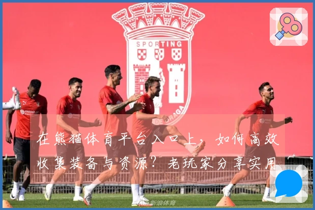 在熊猫体育平台入口上，如何高效收集装备与资源？老玩家分享实用技巧！